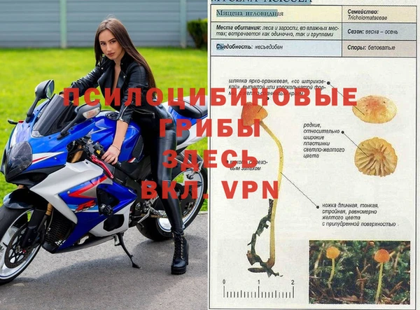 первитин Сосновка